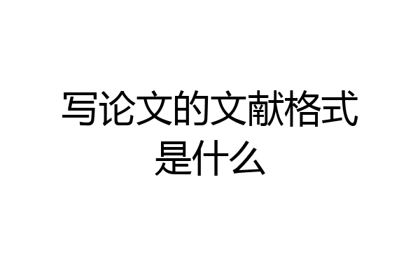 写论文的文献格式是什么