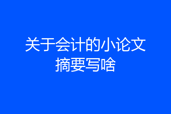 关于会计的小论文摘要写啥