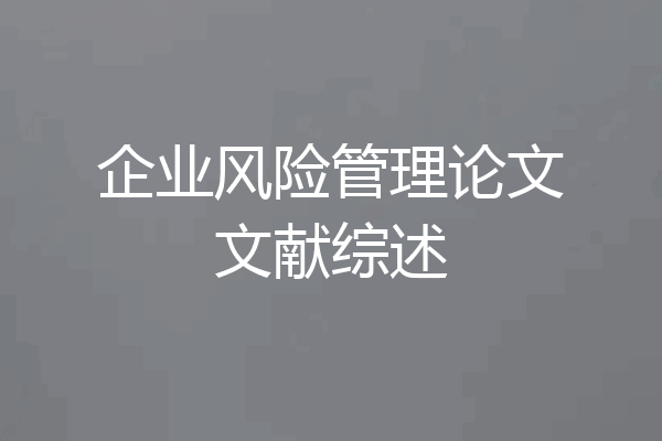 企业风险管理论文文献综述