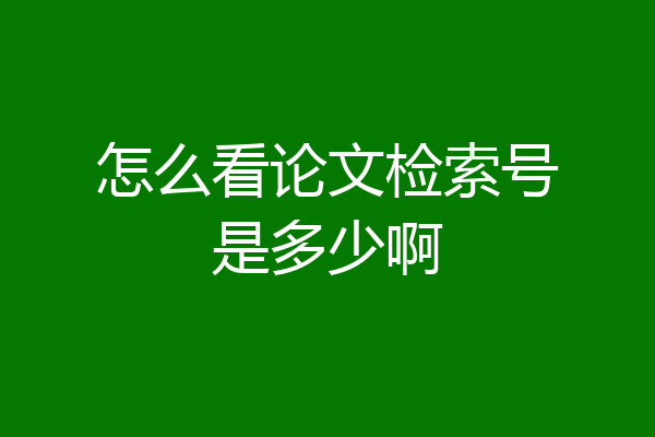 怎么看论文检索号是多少啊