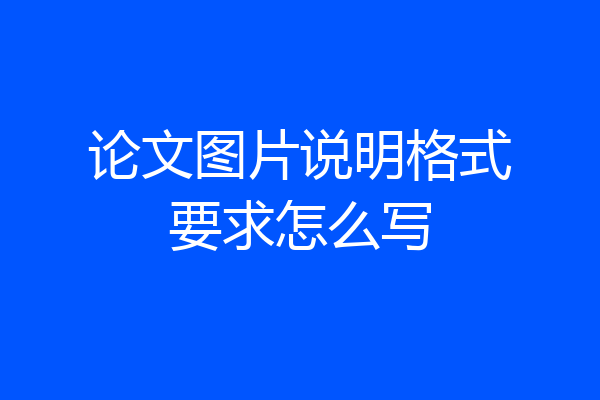论文图片说明格式要求怎么写