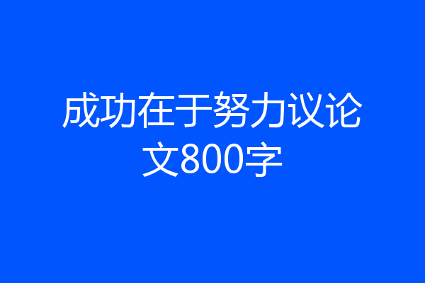 成功在于努力议论文800字