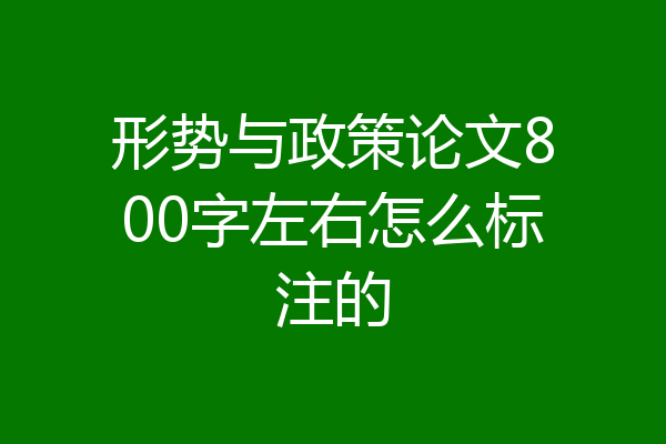 形势与政策论文800字左右怎么标注的