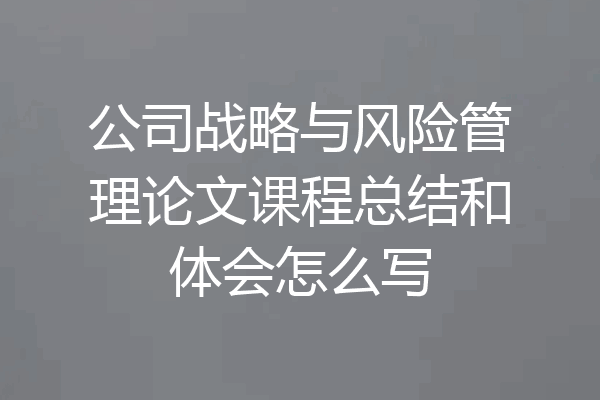 公司战略与风险管理论文课程总结和体会怎么写