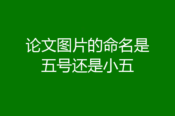 论文图片的命名是五号还是小五