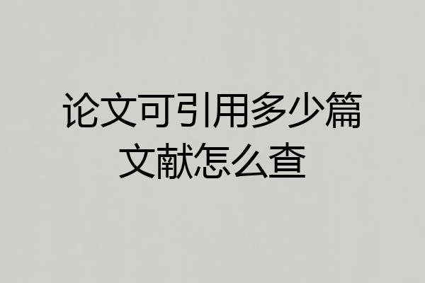 论文可引用多少篇文献怎么查