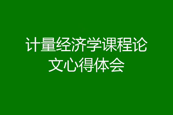 计量经济学课程论文心得体会
