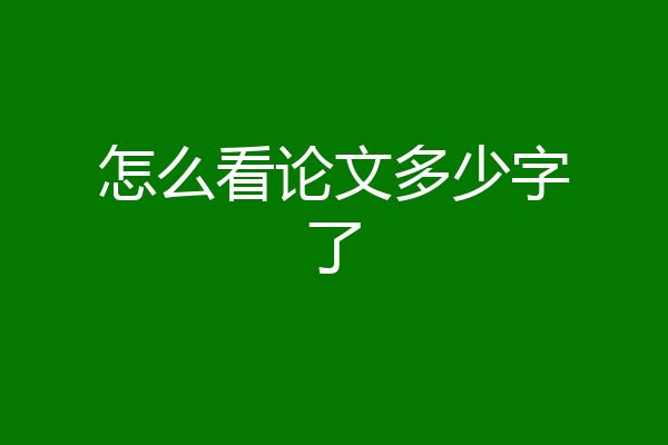 怎么看论文多少字了