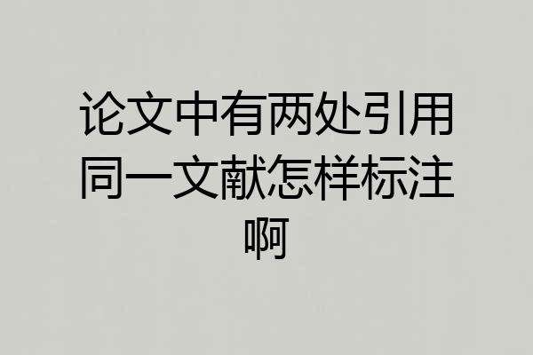 论文中有两处引用同一文献怎样标注啊