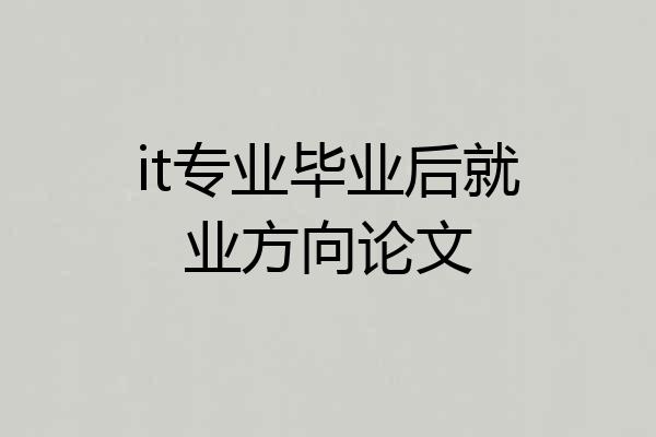 it专业毕业后就业方向论文