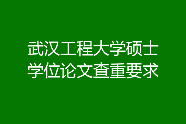 武汉工程大学硕士学位论文查重要求