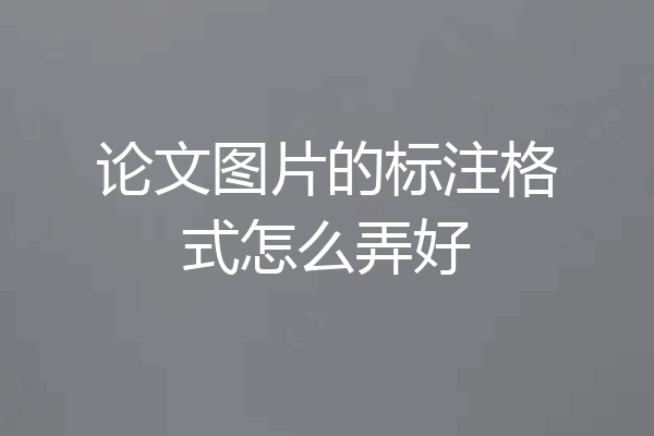 论文图片的标注格式怎么弄好