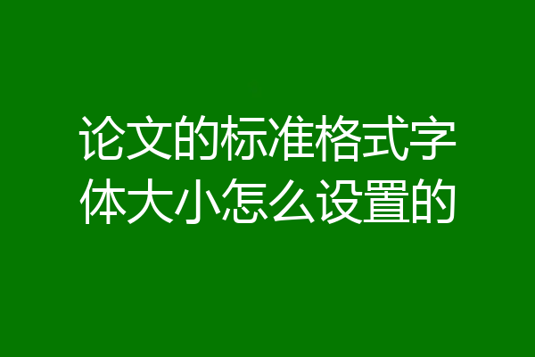 论文的标准格式字体大小怎么设置的