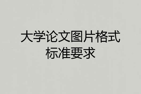 大学论文图片格式标准要求