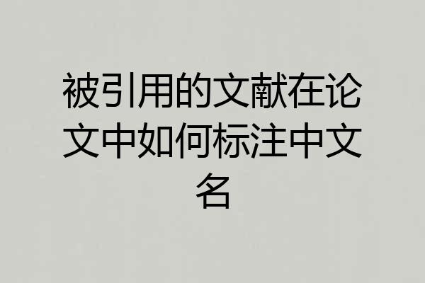 被引用的文献在论文中如何标注中文名