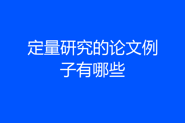 定量研究的论文例子有哪些