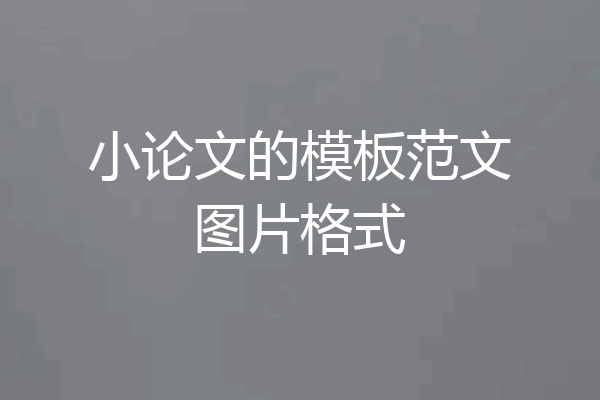 小论文的模板范文图片格式