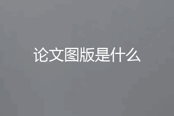 论文图版是什么