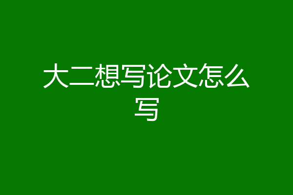 大二想写论文怎么写