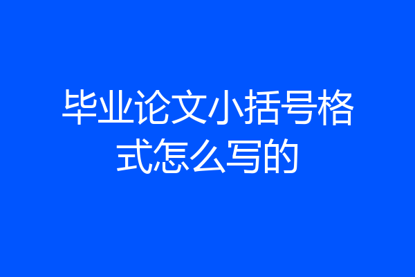 毕业论文小括号格式怎么写的
