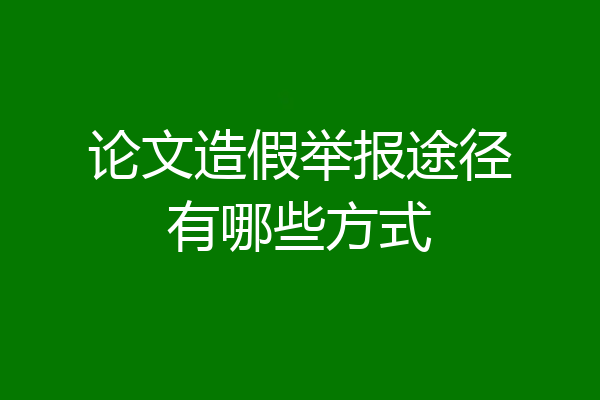 论文造假举报途径有哪些方式