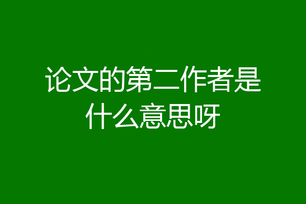 论文的第二作者是什么意思呀