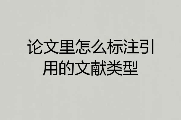 论文里怎么标注引用的文献类型