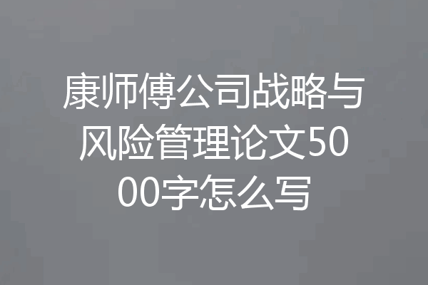 康师傅公司战略与风险管理论文5000字怎么写
