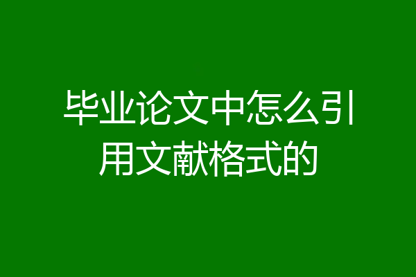 毕业论文中怎么引用文献格式的