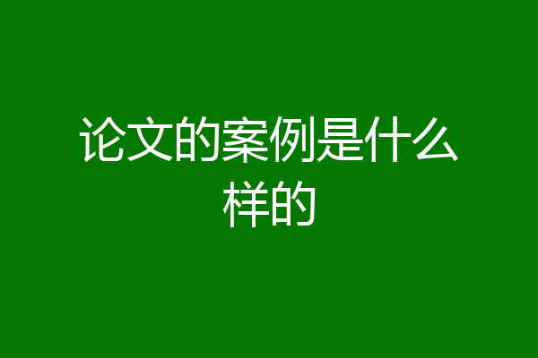 论文的案例是什么样的