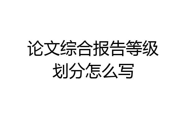 论文综合报告等级划分怎么写