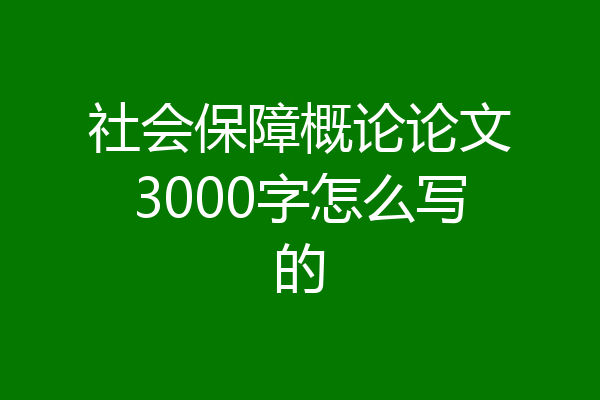 社会保障概论论文3000字怎么写的
