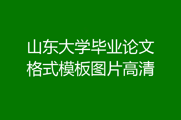 山东大学毕业论文格式模板图片高清