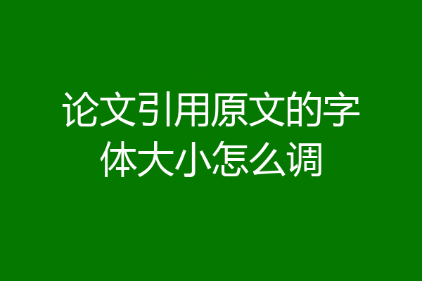 论文引用原文的字体大小怎么调