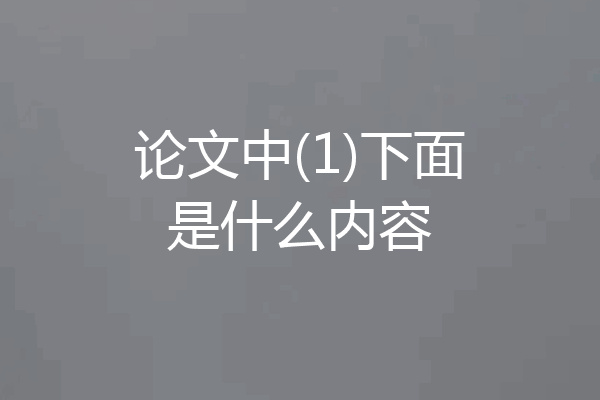 论文中(1)下面是什么内容