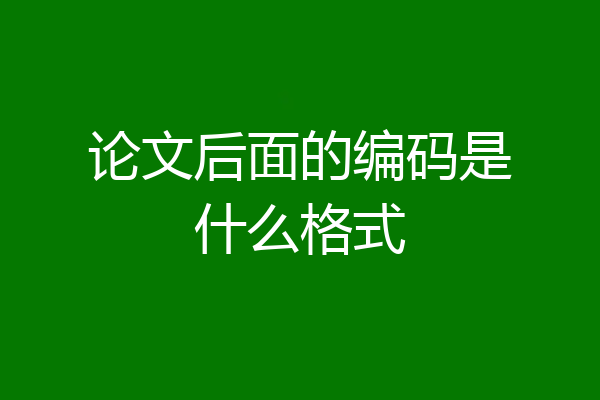 论文后面的编码是什么格式