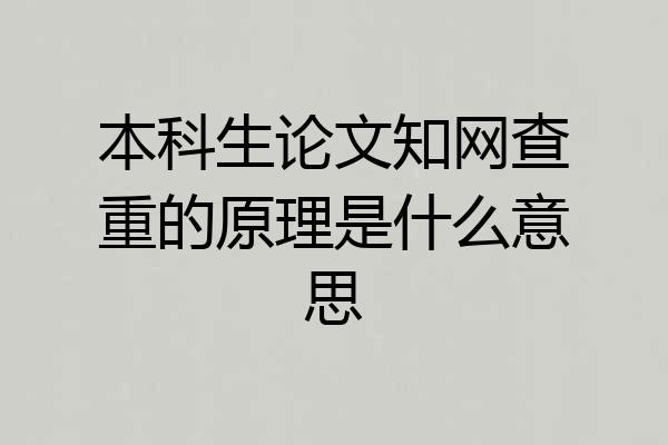 本科生论文知网查重的原理是什么意思