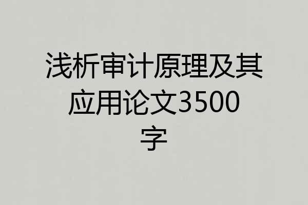 浅析审计原理及其应用论文3500字