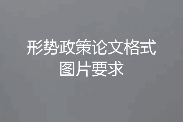 形势政策论文格式图片要求
