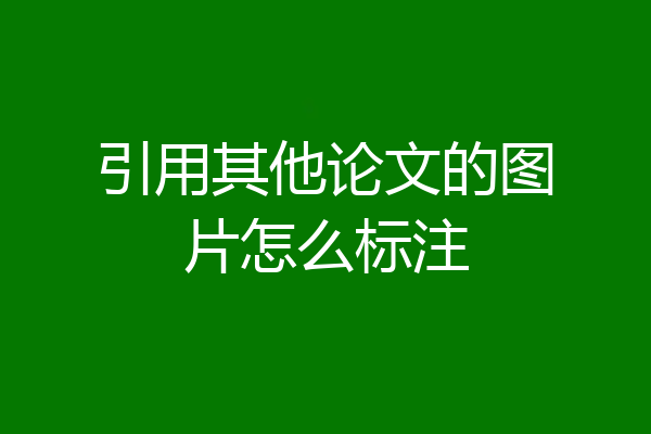 引用其他论文的图片怎么标注
