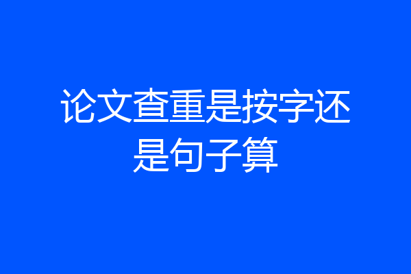论文查重是按字还是句子算