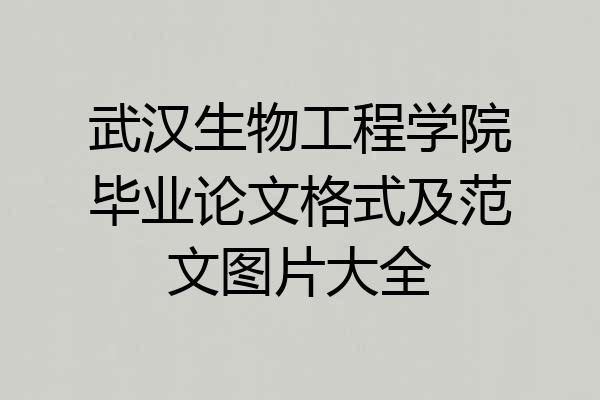 武汉生物工程学院毕业论文格式及范文图片大全