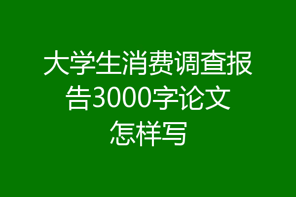 大学生消费调查报告3000字论文怎样写