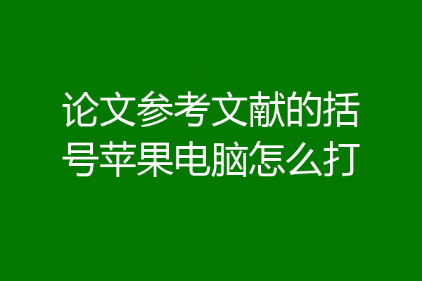 论文参考文献的括号苹果电脑怎么打