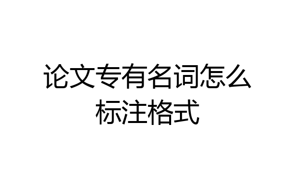 论文专有名词怎么标注格式
