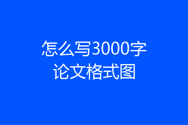 怎么写3000字论文格式图