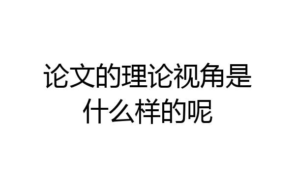 论文的理论视角是什么样的呢