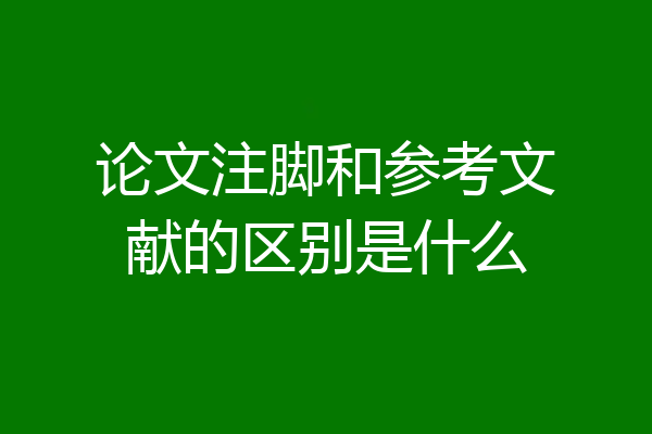 论文注脚和参考文献的区别是什么