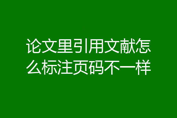 论文里引用文献怎么标注页码不一样