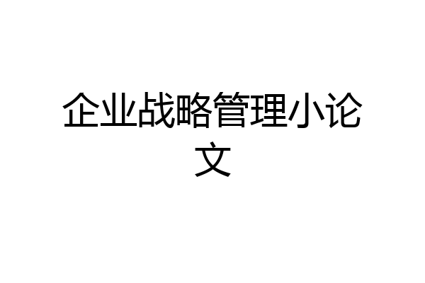 企业战略管理小论文